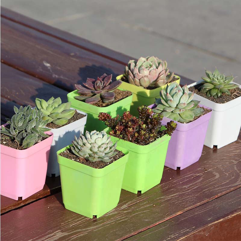 Pot  Bunga  Mini Bentuk Kotak  Bahan Plastik  10 Warna 