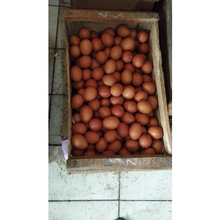 

telur ayam iketan