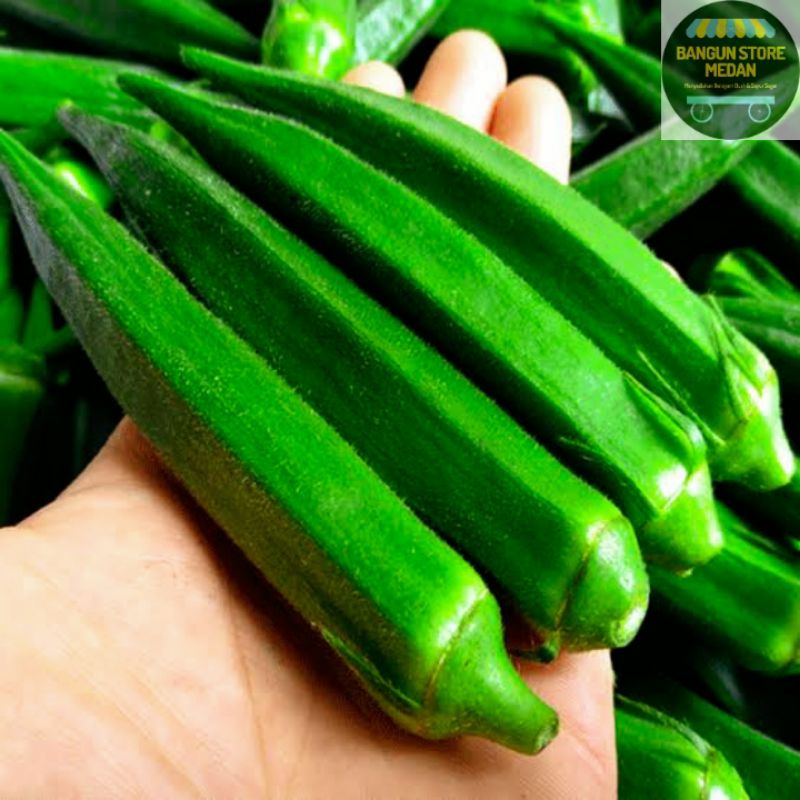

BSM | TERMURAH Okra / Sayur Okra Hijau Segar 500gr - 1kg | Sayur online