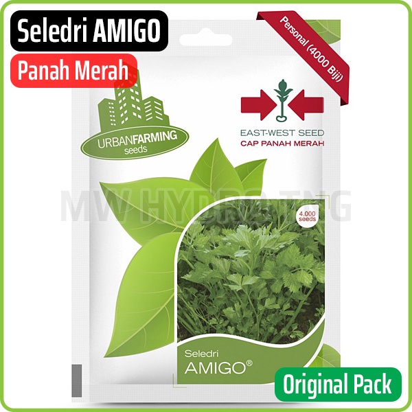 Benih Panah Merah, Seledri AMIGO - East West Seed