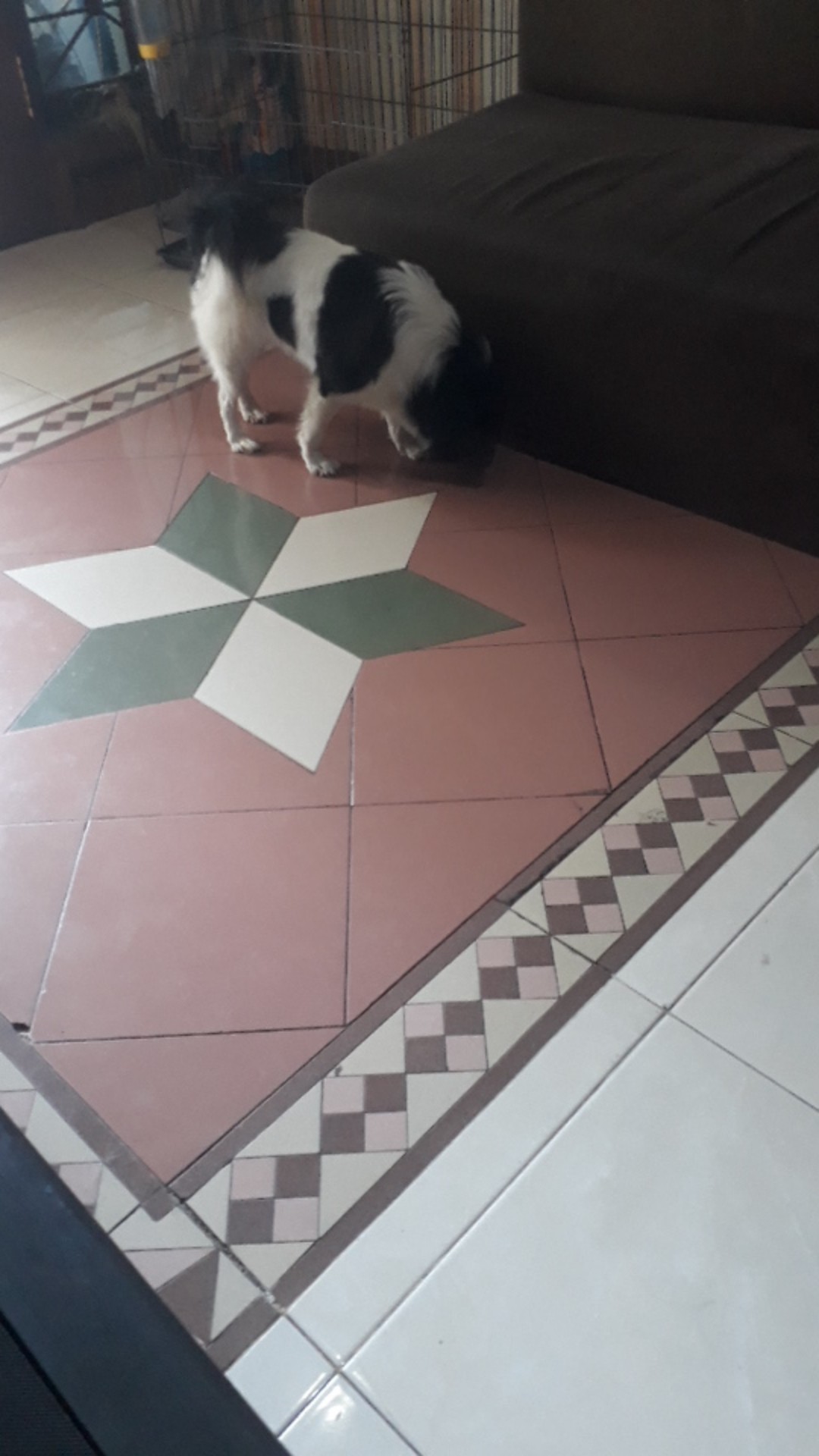 Oval 25x36 Kantong Plastik / Kresek Teddy Bear