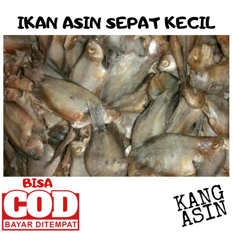 

IKAN ASIN SEPAT KECIL IKAN ASIN SAPEK