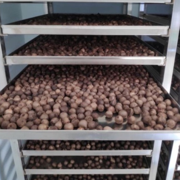 

PREMIUM! Black Garlic Bawang Hitam JUMBO 250gr 002