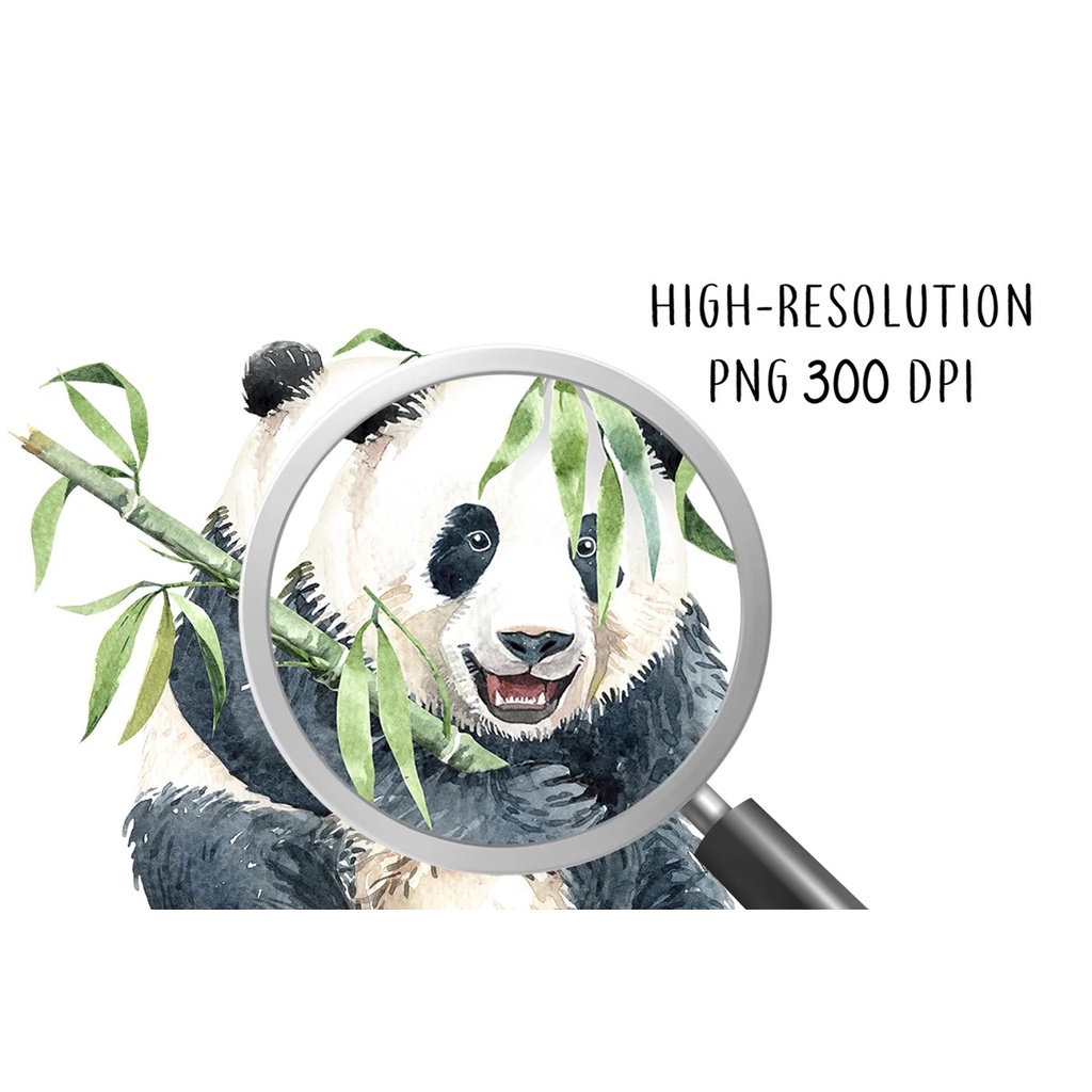 Panda Watercolor Animal Clip Art - Vector Designs