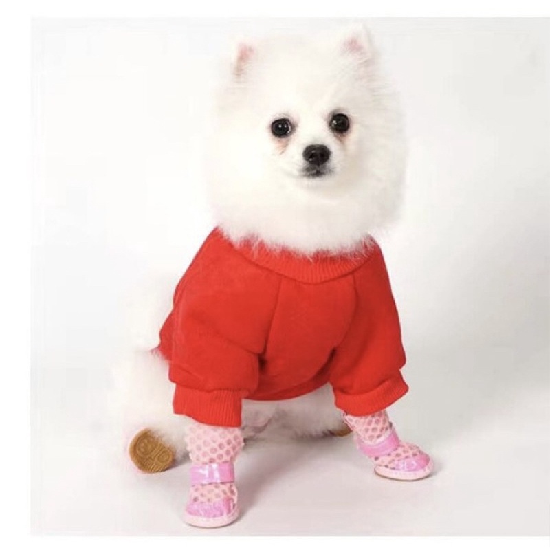 Domo casual pet shoes