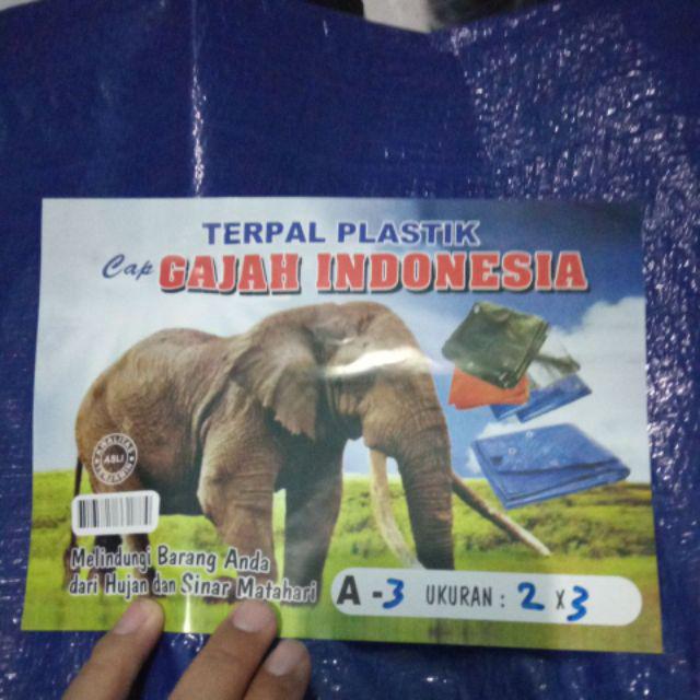 Terpal Plastik A3 Ukuran 2x3 M
