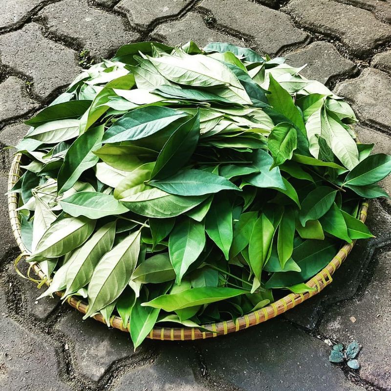 

Daun salam fresh // bumbu masakan 250gr