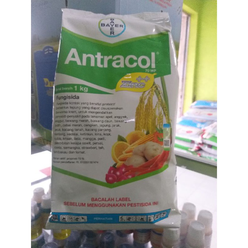 fungisida antracol 1kg