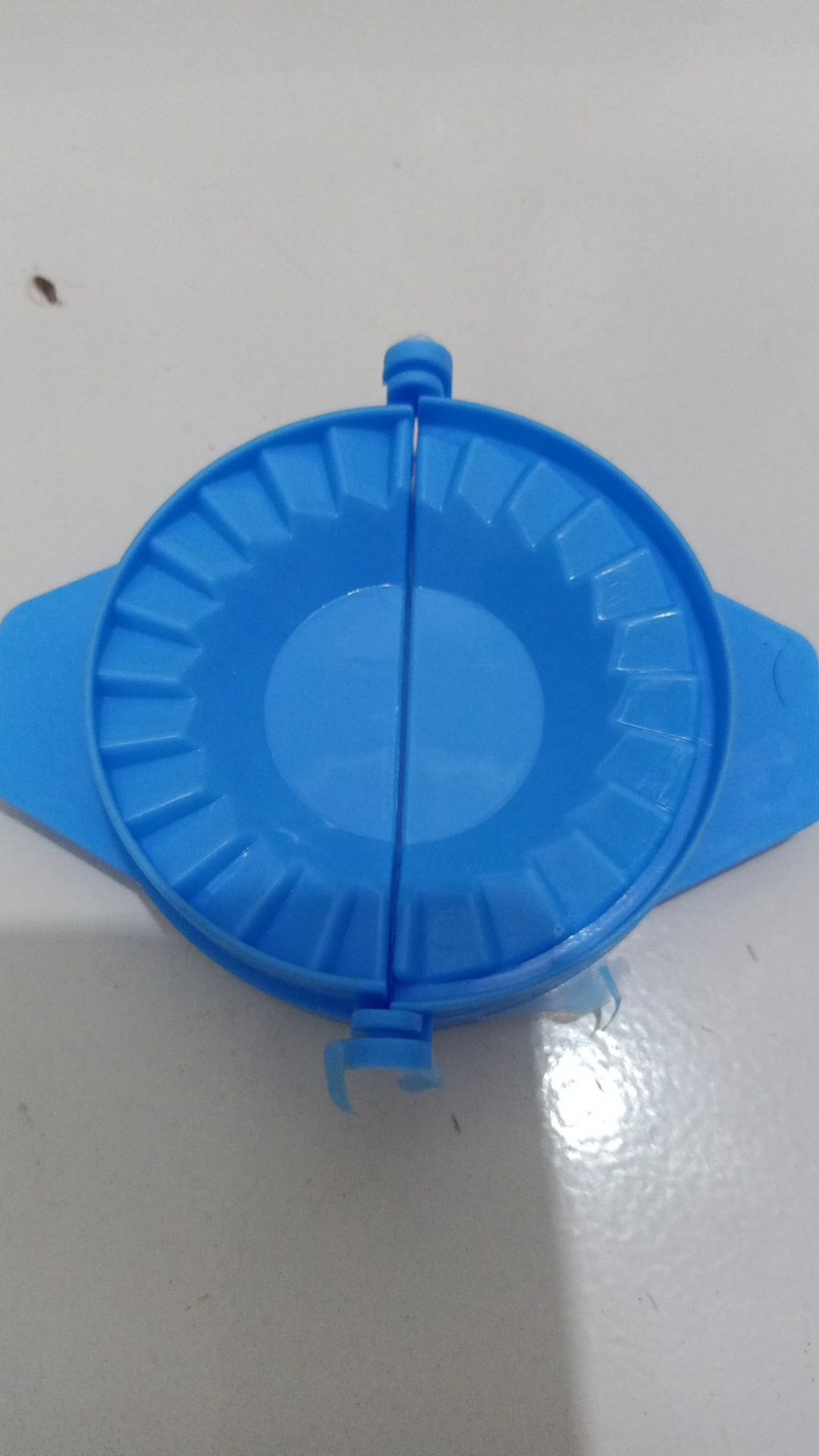 Ws682 Alat Pencetak Pangsit / Dumpling Pastel Mold