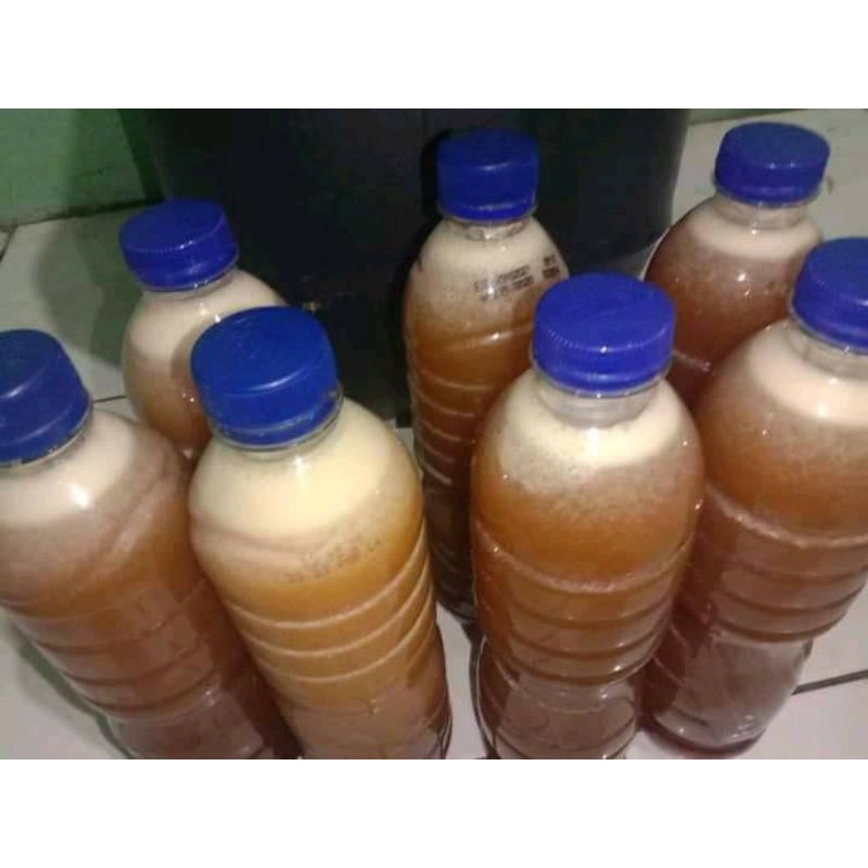 

Air madu asli dompu Sumabawa NTB