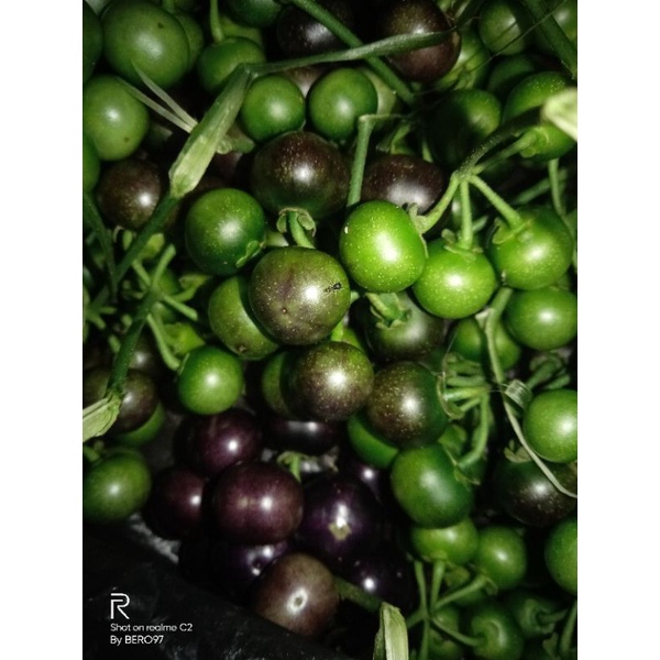 

RB22 TERMURAH lenca segar 1kg