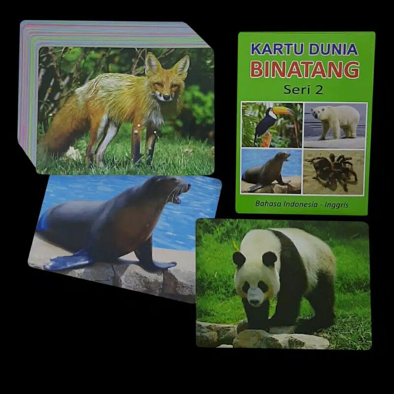Flashcard Animal Seri 2 balita dan anak.