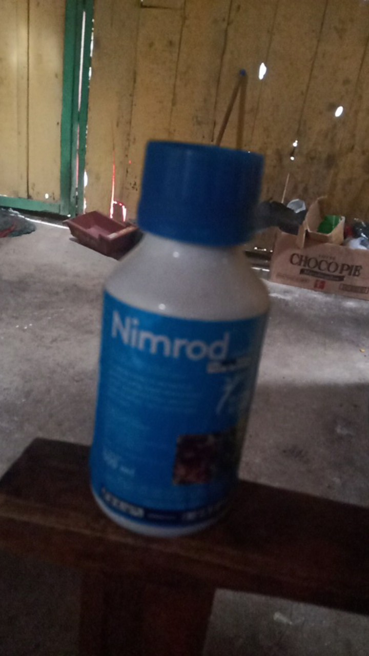Fungisida Embun Tepung Nimrod Bupirimat 500 Ml Dr Royal Agro