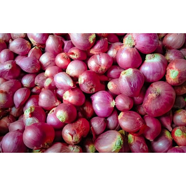 

BAWANG MERAH (pack 250g)