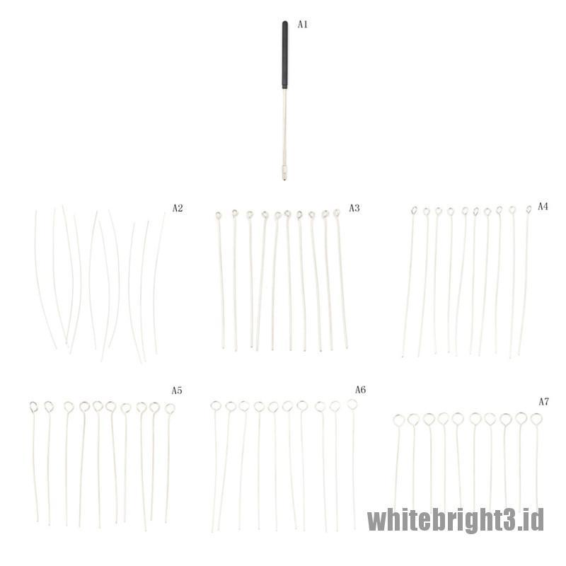 ❤White3 Warna Putih❤ Tongkat Inokulasi Inokulasi Mikrobiologi &amp; 10 Jarum Nichrome Wire