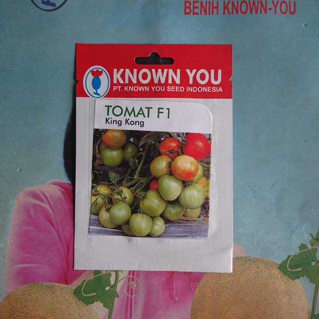 Benih Tomat KING KONG F1