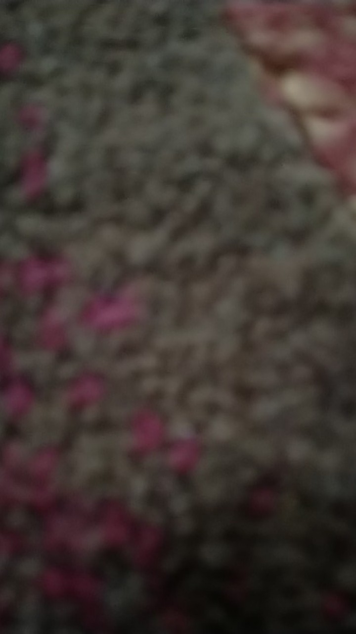 Krischef Set 4 Pcs Tempat Bumbu Dapur / Toples Bumbu / Wadah Bumbu