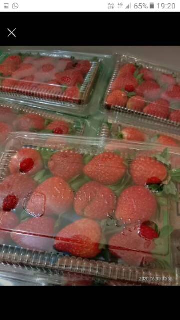 

BUAH STRAWBERRY MERAH FRESH 1 PACK