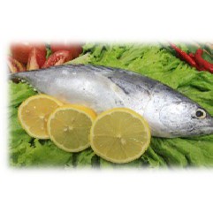 

IKAN CAKALANG 1 KG, premium Ras Food jatiasih