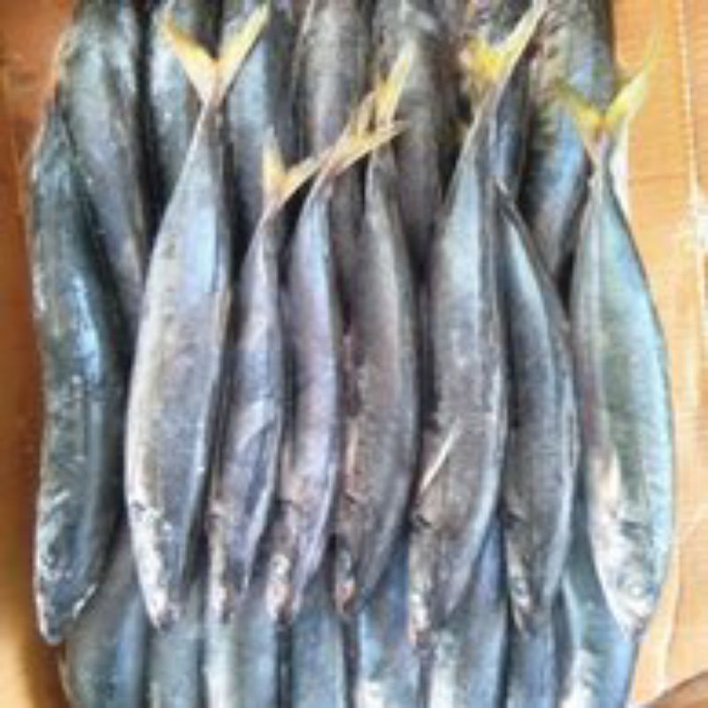 IKAN LAYANG 1kg