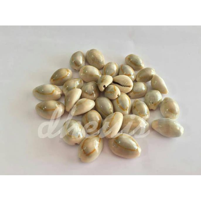 Kuwuk - Biji Congklak Kerang