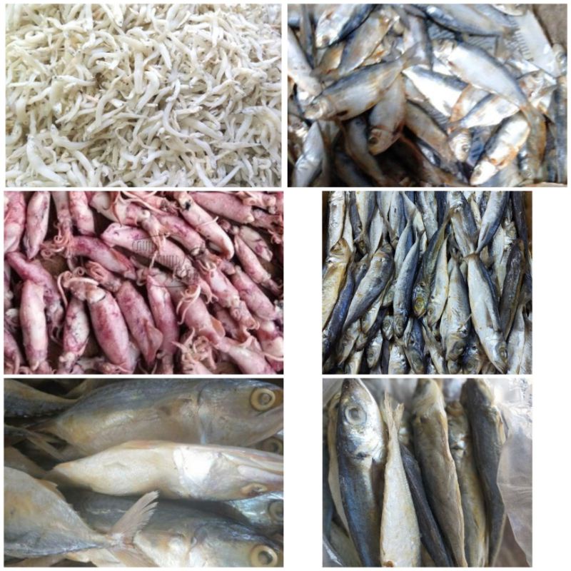 ikan asin gabus/rebon/sepat/bulu ayam/dendeng/japuh layang/kapasan/tembang/petek