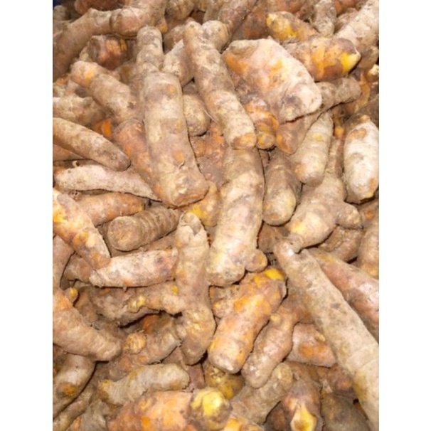 

KUNYIT SEGAR 1KG