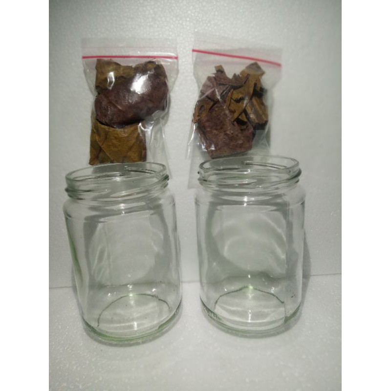 botol kaca tempat ikan cupang toles selai dan daun ketapng olahan toples bekas ovaltin atau selai