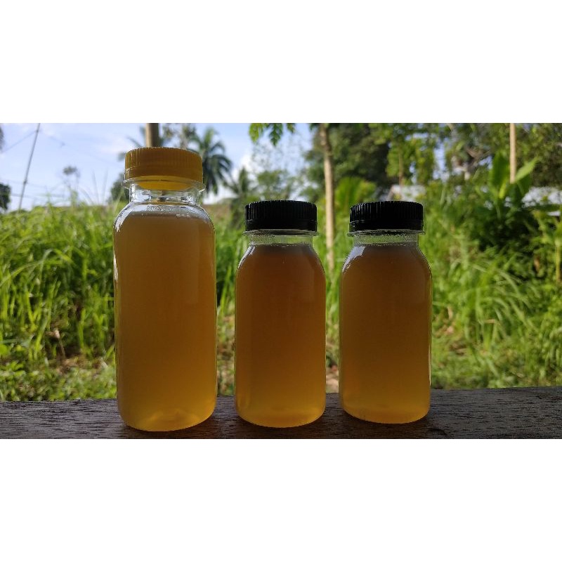 

Madu kelulut itama 80ml
