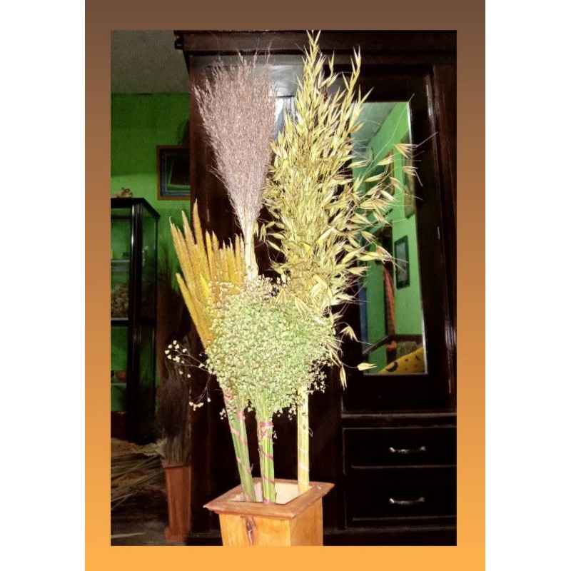 4 macam bunga rumput kering+vas bunga nya