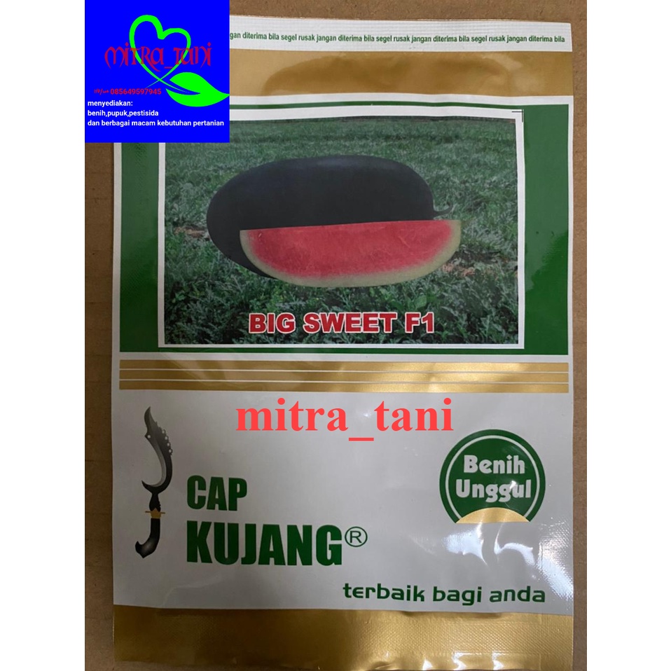 Benih semangka inul BIG SWEET F1 dari CAP KUJANG. Isi 20gram