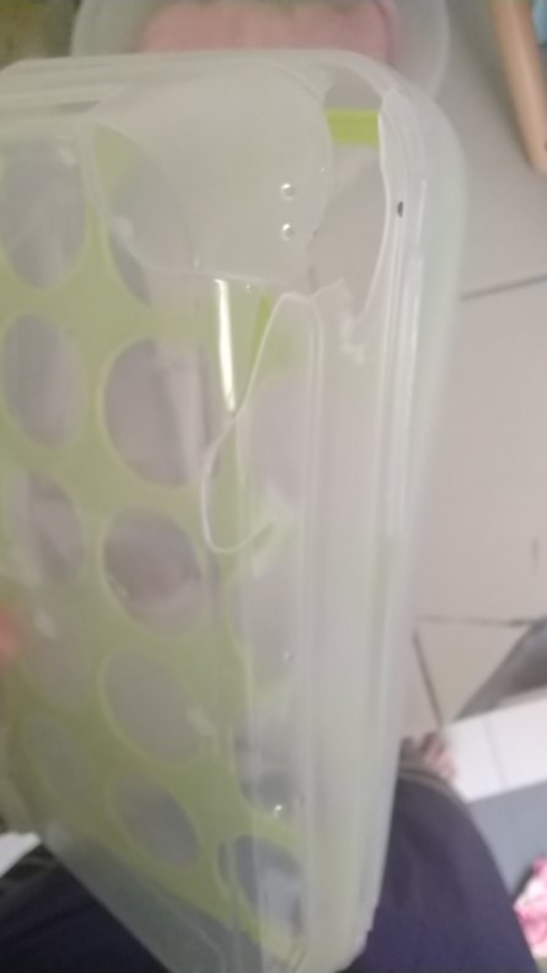 Jhdp51 Kotak Penyimpanan Telur Murah Transparant 15 Sekat Egg Box Organizer Tempat Organiser Telur