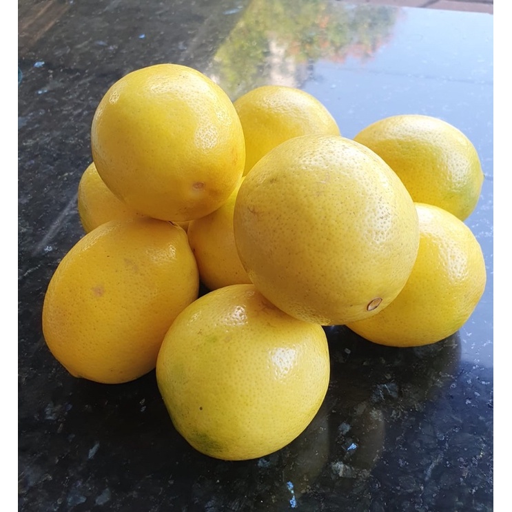 

LEMON LOKAL PREMIUM