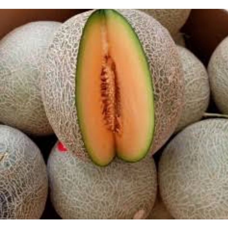 

Melon Red/Oren 1 buah