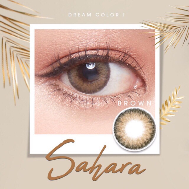 

Sahara in Brown Softlens import korea