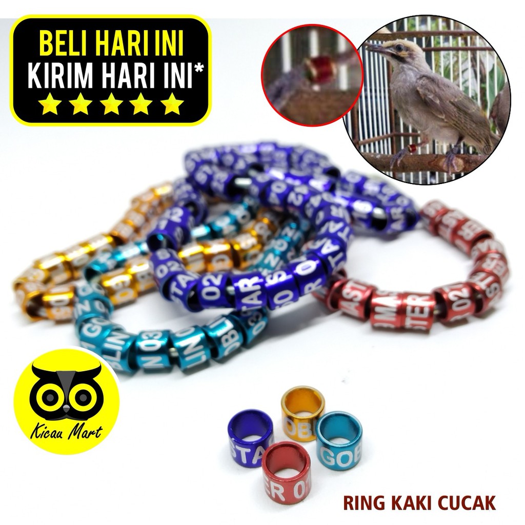 RING BURUNG LASER PENANDA KAKI BURUNG CUCAK GELANG CINCIN PENGAMAN KAKI BURUNG FOOT BIRD WGOILBJ1