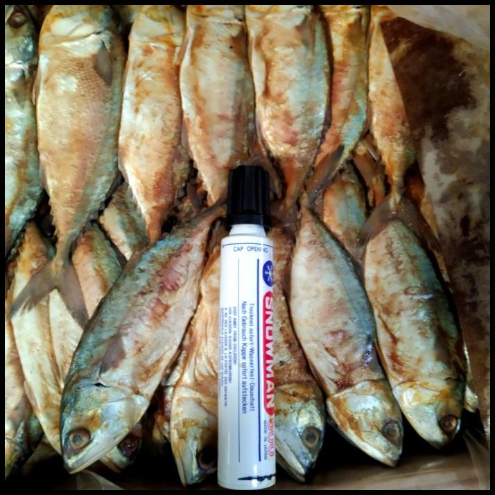 

Ikan Asin Peda Merah 1Kg