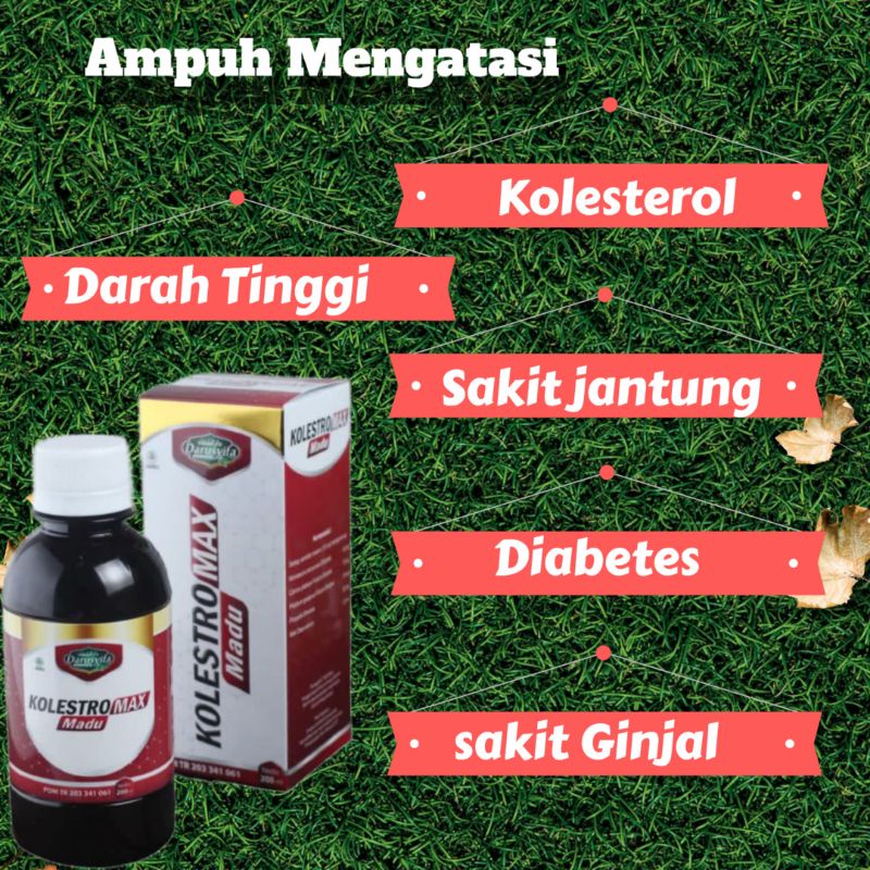 

KolesteroMax Mengatasi Kolesterol | Madu Obat Diabetes | Madu obat sakit Jantung