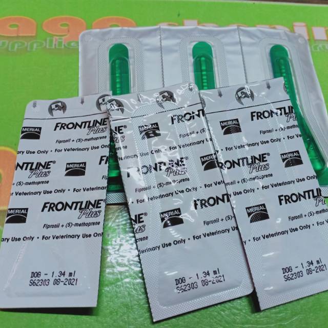 frontline dog obat vitamin tetes kutu anjing kucing