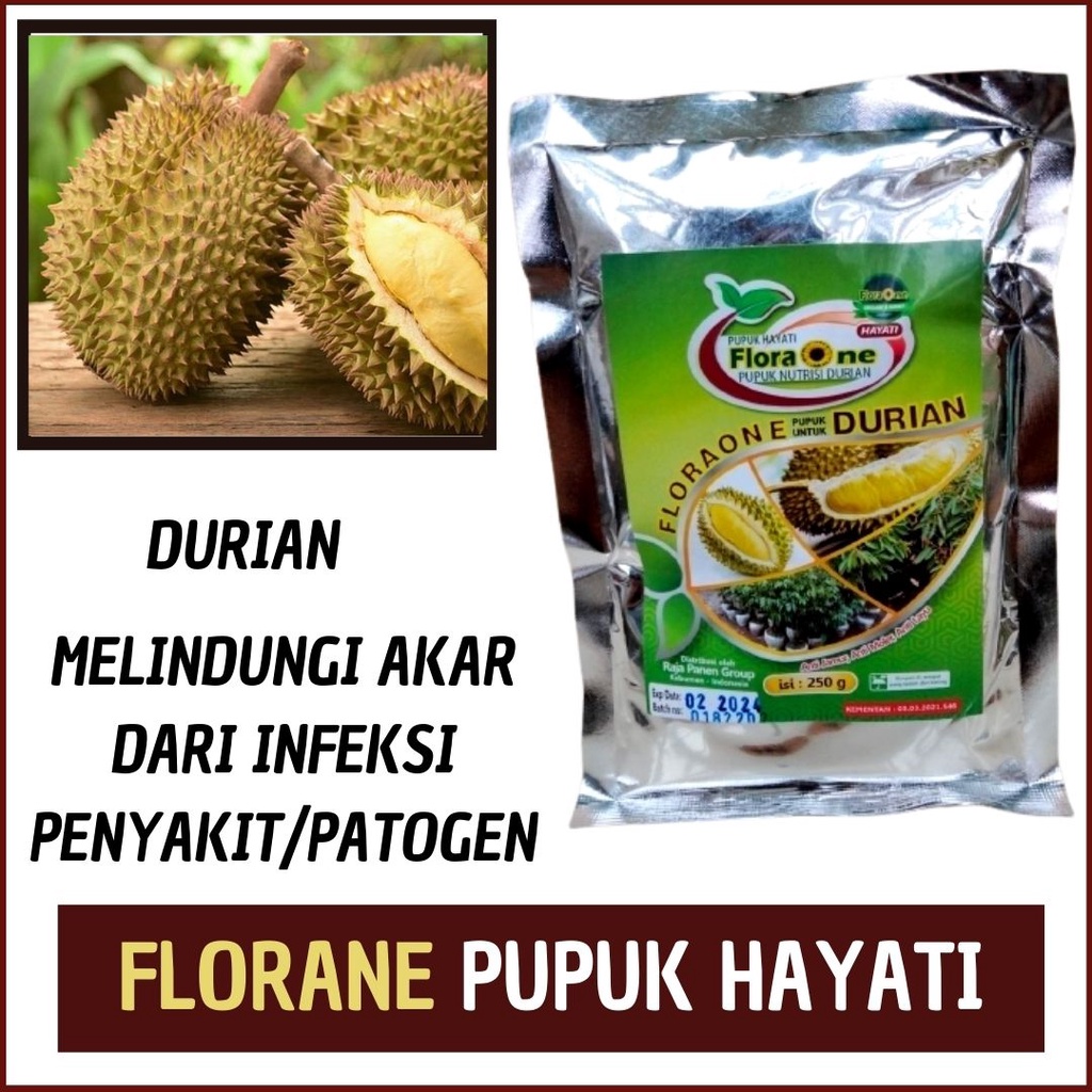 Pupuk Durian Setelah Tanam Booster Durian Pupuk Durian Agar Berbuah Lebat