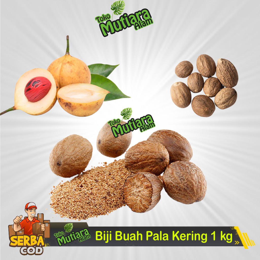 

Biji Buah Pala Kering 500 GRAM super MUTIARA ALAM