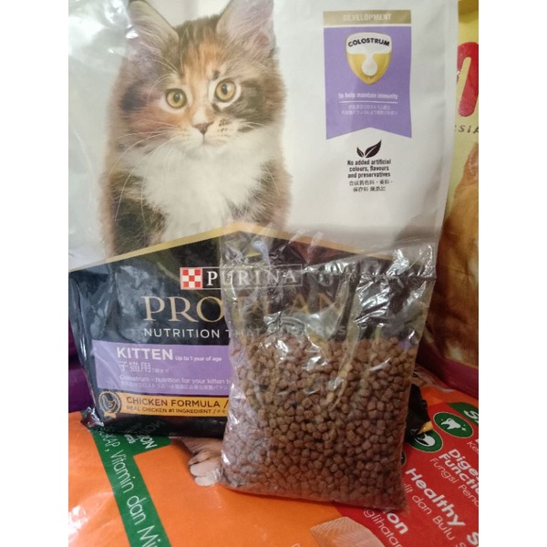 Proplan kitten