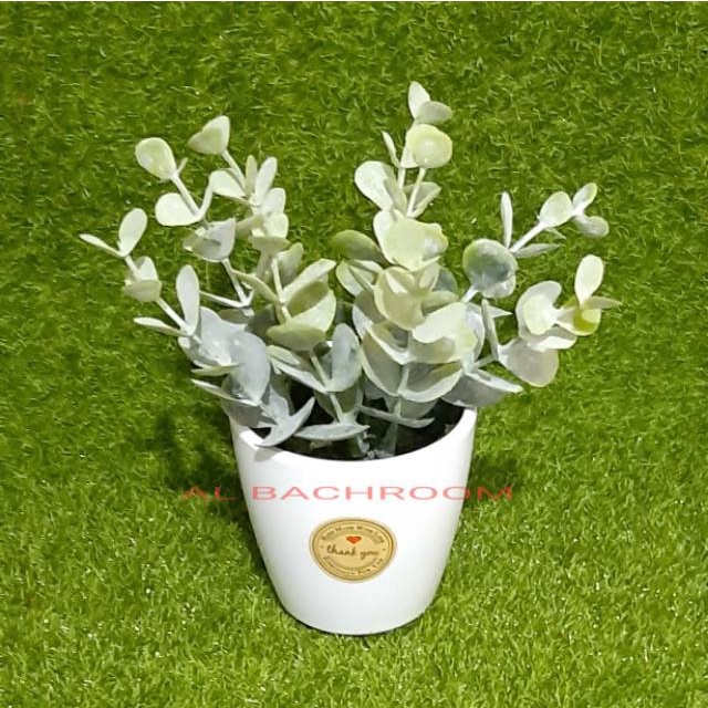 RB6086 BUKET POT DAUN EUKALIPTUS BEDAK WARNA