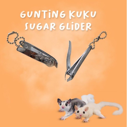 GUNTING KUKU MIRING - Gunting Kuku Kitten Kucing Monpai Sugar Glider Kelinci