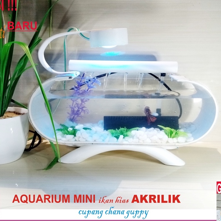Aquarium Mini Double Akrilik Empat Kaki Plus Mesin Filter Air Ikan Hias