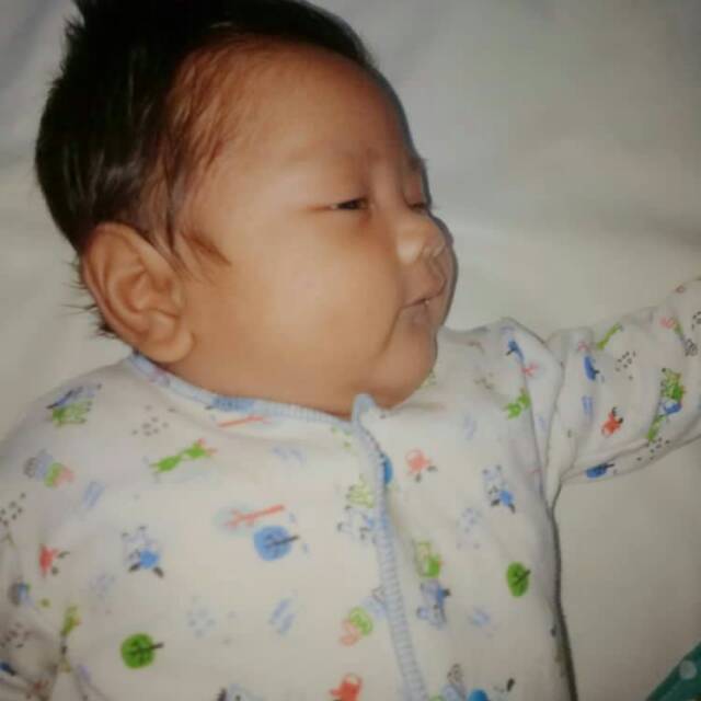 sintalestaricantik16