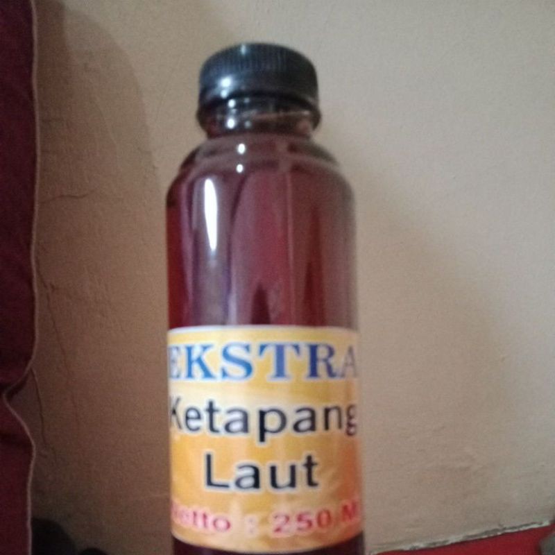 

ekstrak Ketapang laut olahan