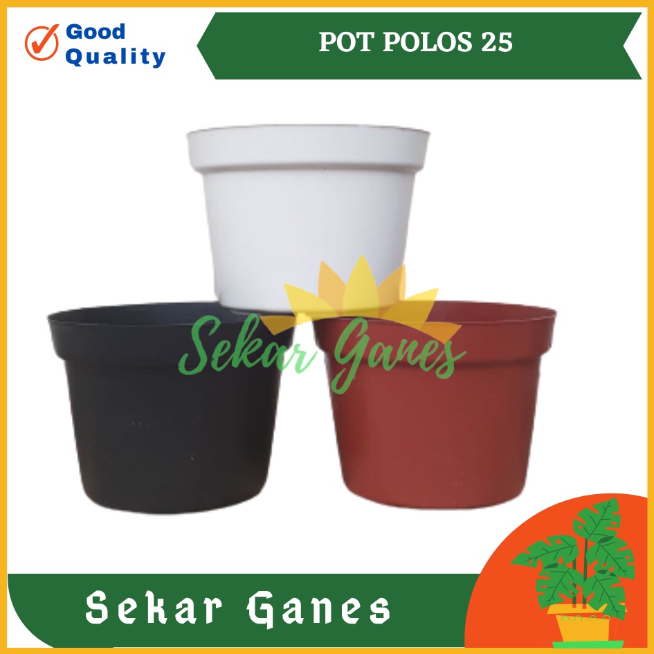 Sekarganes Pot 25 Putih Hitam Merah Bata Coklat Terraccota Terakota Pot Basic Polos - Pot Tanaman Putih Polos Besar Pot 25 30 Cm Putih Lusinan Murah Grosir