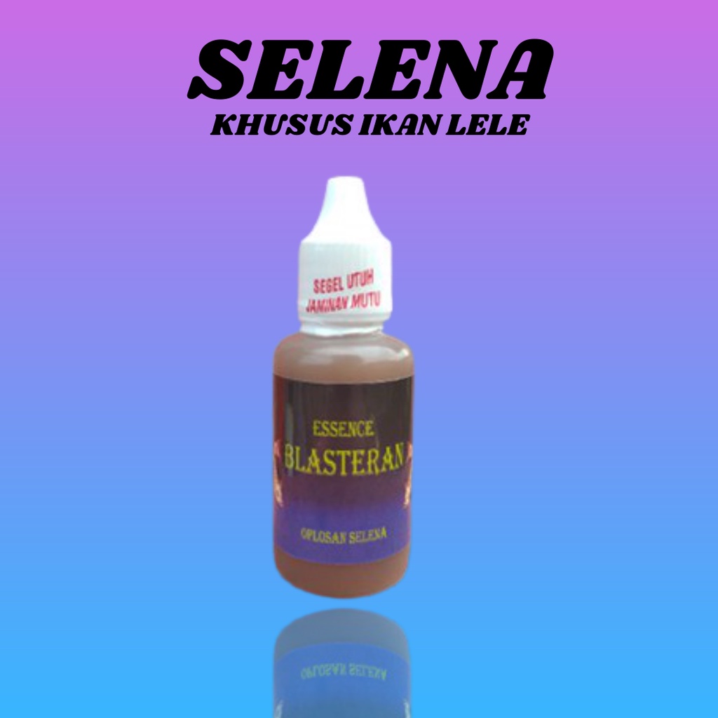 Essen Ikan Lele Jitu Galatama