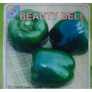 6 benih cabai Paprika hijau Beauty Bell F1  bibit tanaman sayur sayuran cabe